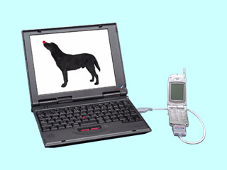 ThinkPad i 1124 2609-7WJ 2609-7WJ