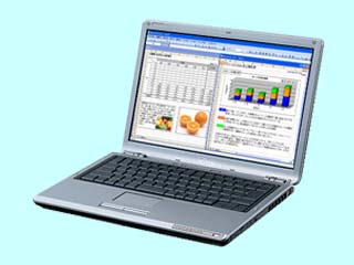 VAIO type S VGN-S91PSY5 VGN-S91PSY5