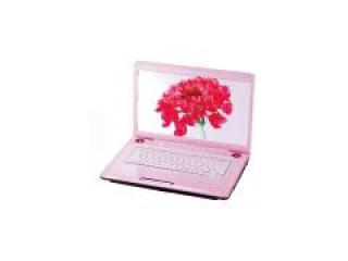 dynabook TX/66JPK PATX66JLPPK スウィートピンク PATX66JLPPK